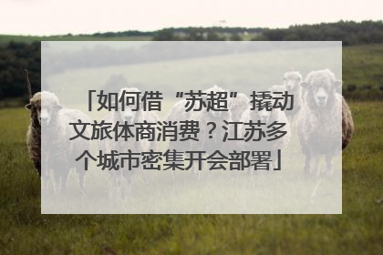 如何借“苏超”撬动文旅体商消费？江苏多个城市密集开会部署