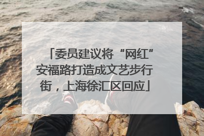 委员建议将“网红”安福路打造成文艺步行街，上海徐汇区回应