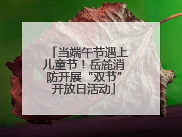 当端午节遇上儿童节！岳麓消防开展“双节”开放日活动