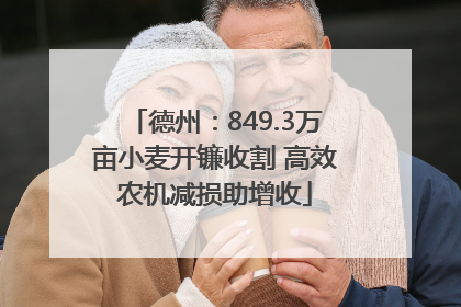 德州：849.3万亩小麦开镰收割 高效农机减损助增收