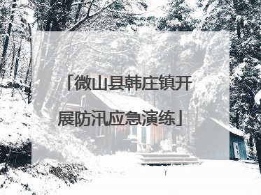 微山县韩庄镇开展防汛应急演练