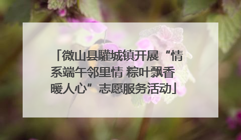 微山县驩城镇开展“情系端午邻里情 粽叶飘香暖人心”志愿服务活动