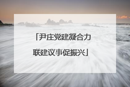 尹庄党建凝合力 联建议事促振兴