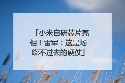 小米自研芯片亮相！雷军：这是场绕不过去的硬仗