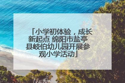 小学初体验，成长新起点 绵阳市盐亭县岐伯幼儿园开展参观小学活动