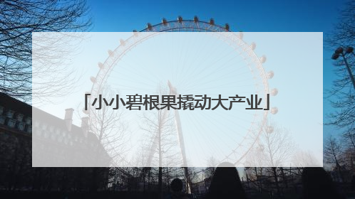 小小碧根果撬动大产业
