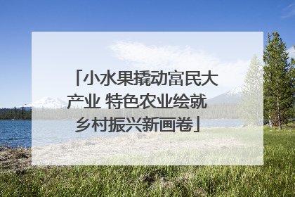 小水果撬动富民大产业 特色农业绘就乡村振兴新画卷