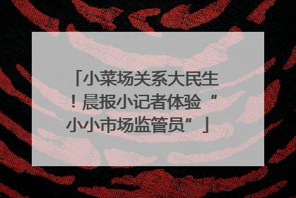 小菜场关系大民生！晨报小记者体验“小小市场监管员”