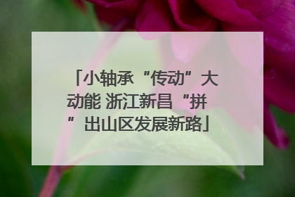 小轴承“传动”大动能 浙江新昌“拼”出山区发展新路