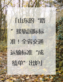 山东的“路”接轨国际标准！全省交通运输标准“成绩单”出炉