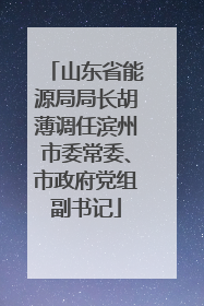 山东省能源局局长胡薄调任滨州市委常委、市政府党组副书记
