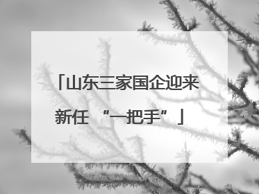山东三家国企迎来新任 “一把手”