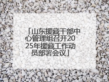 山东援藏干部中心管理组召开2025年援藏工作动员部署会议