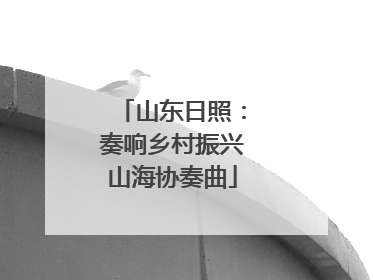 山东日照：奏响乡村振兴山海协奏曲