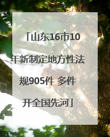 山东16市10年新制定地方性法规905件 多件开全国先河