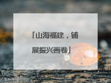 山海福建，铺展振兴画卷