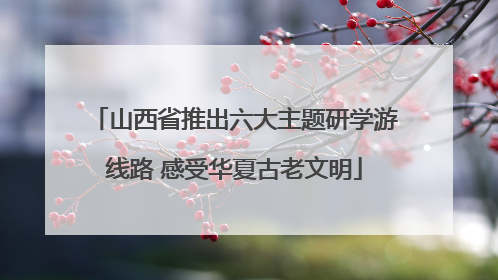 山西省推出六大主题研学游线路 感受华夏古老文明
