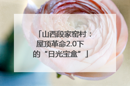 山西段家窑村：屋顶革命2.0下的“日光宝盒”