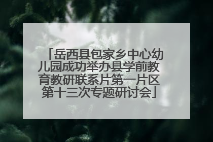 岳西县包家乡中心幼儿园成功举办县学前教育教研联系片第一片区第十三次专题研讨会