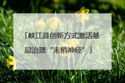 峡江县创新方式激活基层治理“末梢神经”