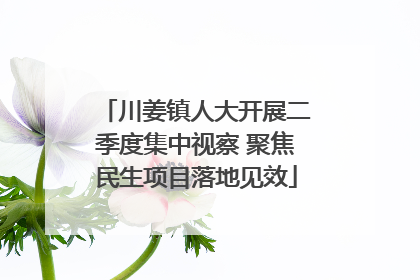川姜镇人大开展二季度集中视察 聚焦民生项目落地见效