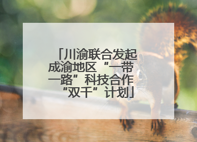 川渝联合发起成渝地区“一带一路”科技合作“双千”计划