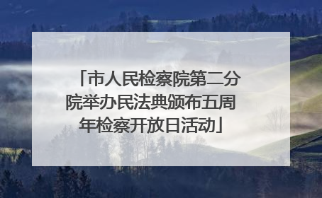 市人民检察院第二分院举办民法典颁布五周年检察开放日活动