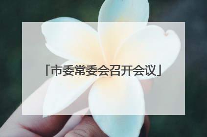 市委常委会召开会议