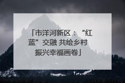 市洋河新区：“红蓝”交融 共绘乡村振兴幸福画卷