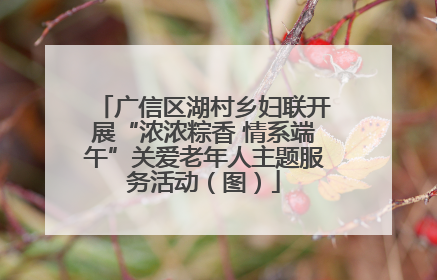 广信区湖村乡妇联开展“浓浓粽香 情系端午”关爱老年人主题服务活动（图）