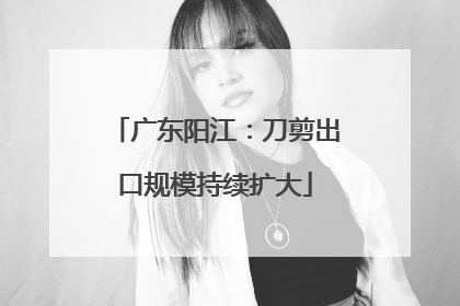 广东阳江：刀剪出口规模持续扩大