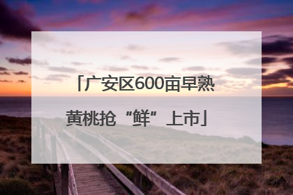 广安区600亩早熟黄桃抢“鲜”上市
