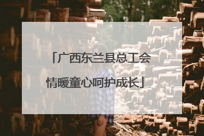 广西东兰县总工会情暖童心呵护成长