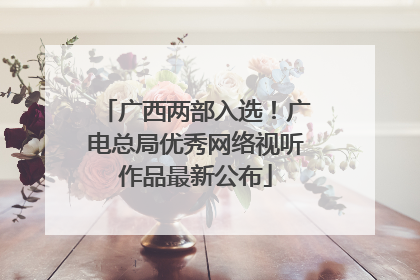 广西两部入选！广电总局优秀网络视听作品最新公布