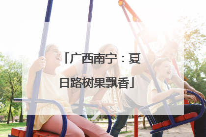 广西南宁：夏日路树果飘香