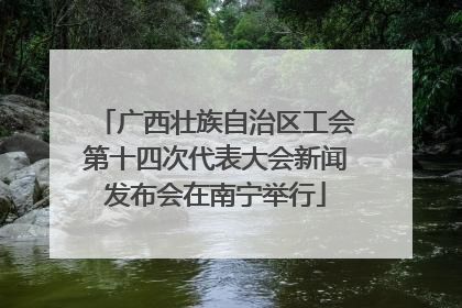 广西壮族自治区工会第十四次代表大会新闻发布会在南宁举行