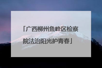 广西柳州鱼峰区检察院法治阳光护青春
