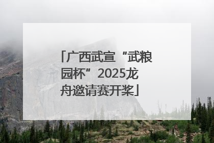 广西武宣“武粮园杯”2025龙舟邀请赛开桨