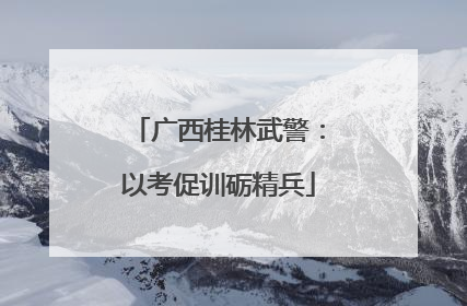 广西桂林武警：以考促训砺精兵