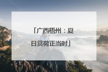 广西梧州：夏日赏荷正当时