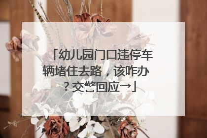 幼儿园门口违停车辆堵住去路，该咋办？交警回应→