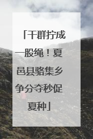干群拧成一股绳！夏邑县骆集乡争分夺秒促夏种
