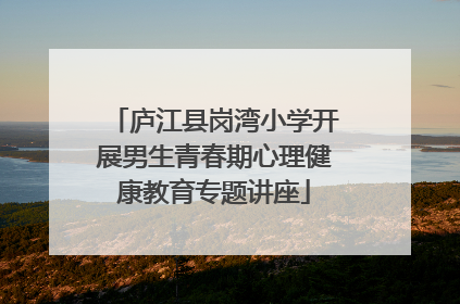 庐江县岗湾小学开展男生青春期心理健康教育专题讲座