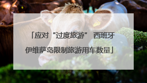 应对“过度旅游” 西班牙伊维萨岛限制旅游用车数量