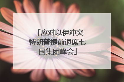 应对以伊冲突 特朗普提前退席七国集团峰会