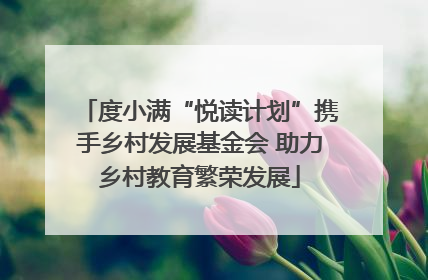 度小满“悦读计划”携手乡村发展基金会 助力乡村教育繁荣发展