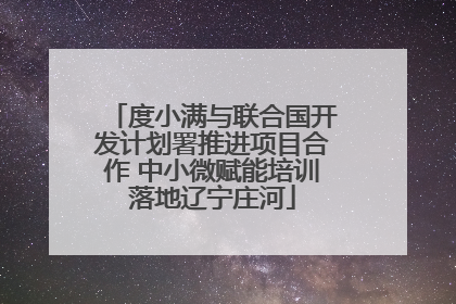 度小满与联合国开发计划署推进项目合作 中小微赋能培训落地辽宁庄河