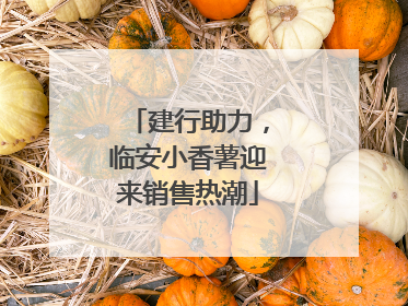 建行助力，临安小香薯迎来销售热潮