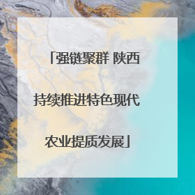 强链聚群 陕西持续推进特色现代农业提质发展