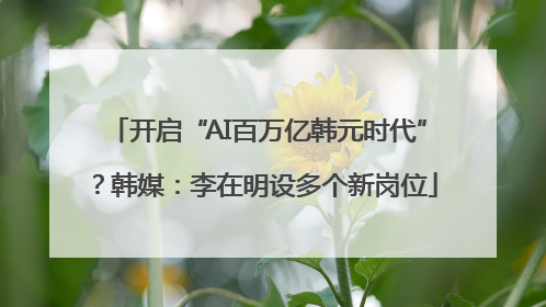开启“AI百万亿韩元时代”？韩媒：李在明设多个新岗位